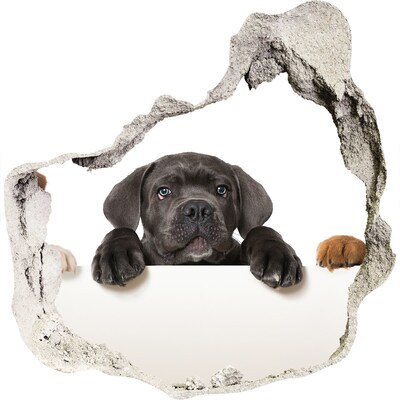 Wandfolien Loch in der Wand Süßer Welpe hinter der Mauer
