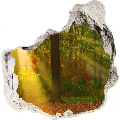3D Wanddurchbruch Aufkleber Herbstwaldlandschaft