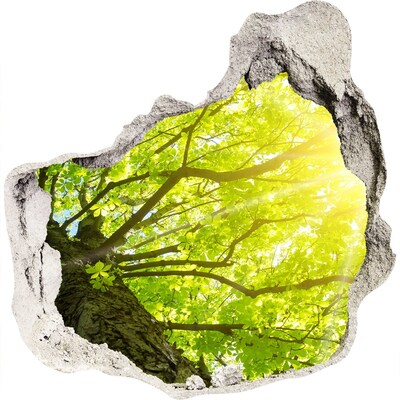 Wandfolien Loch in der Wand Grüner Wald in den Sonnenstrahlen