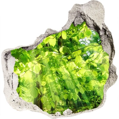 Wandtattoos Loch in der Wand Grüner Wald in den Sonnenstrahlen