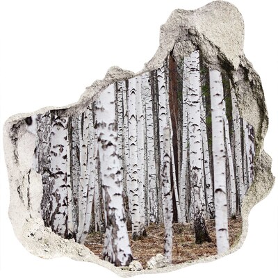 3D Wanddurchbruch Aufkleber Waldoase aus weißen Birken