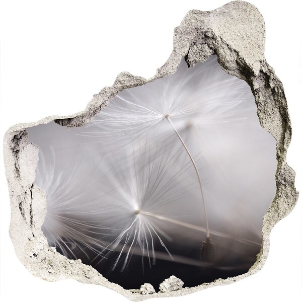 3D Wandtattoos Mauerdurchbruch Löwenzahn im Beton