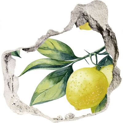 Wandtattoos Loch in der Wand Zitronengarten