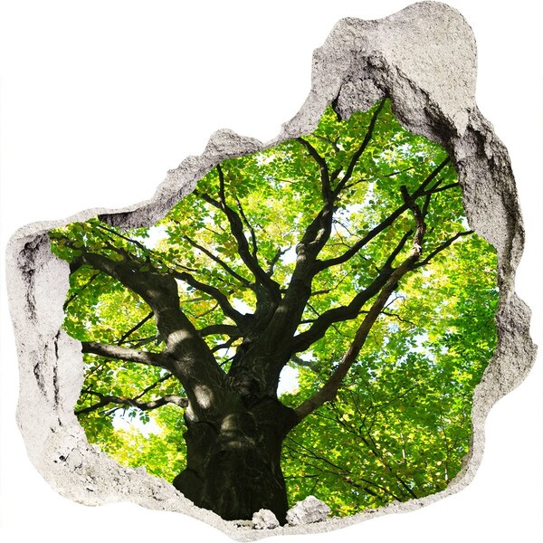 3D Wanddurchbruch Aufkleber Grüner Wald in einem Loch in der Wand