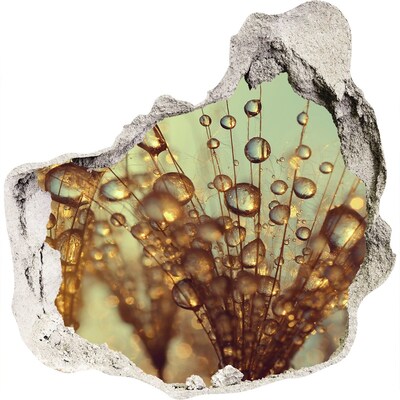 3D Wanddurchbruch Aufkleber Tropfen auf empfindlichem Haar