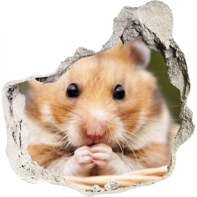 Wandaufkleber Loch 3D Hamster in einem durchsichtigen Loch in der Wand