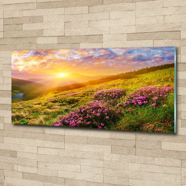 Bild auf Acrylglas Sonnenuntergang in den Bergen