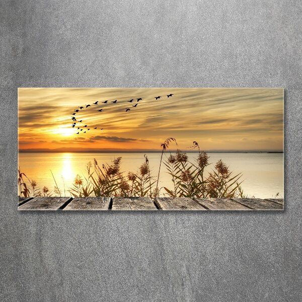 Acrylbild Fotodruck Pier am See