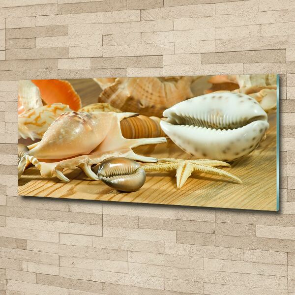 Foto auf Acryl Muscheln auf Holz