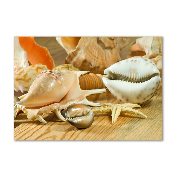 Foto auf Acryl Muscheln auf Holz