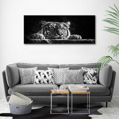 Foto auf Acryl Tiger