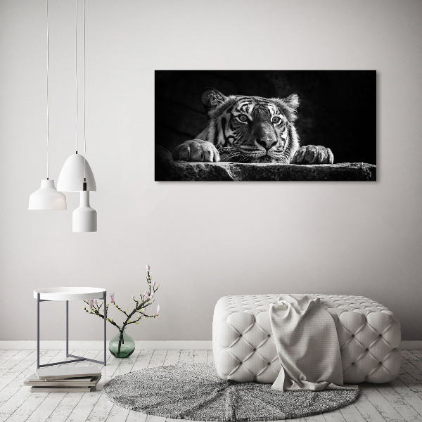 Foto auf Acryl Tiger