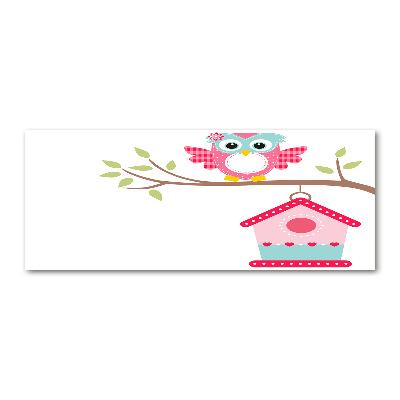 Foto auf Acryl Eule auf einem Ast