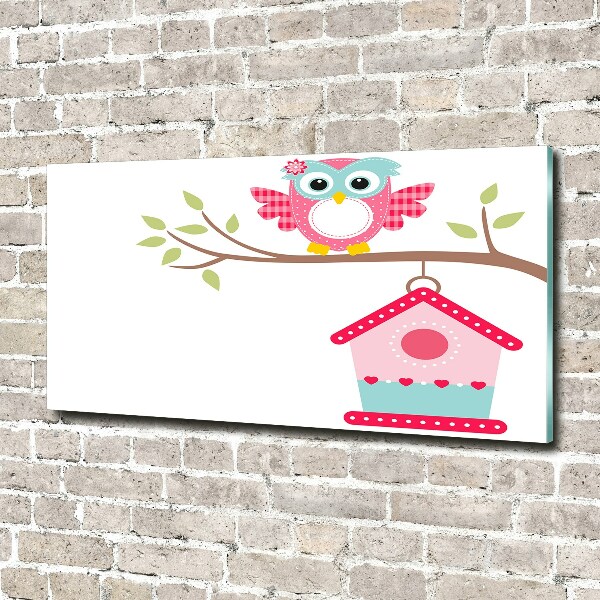 Foto auf Acryl Eule auf einem Ast