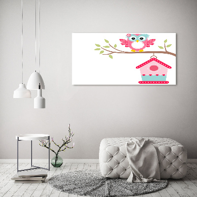 Foto auf Acryl Eule auf einem Ast