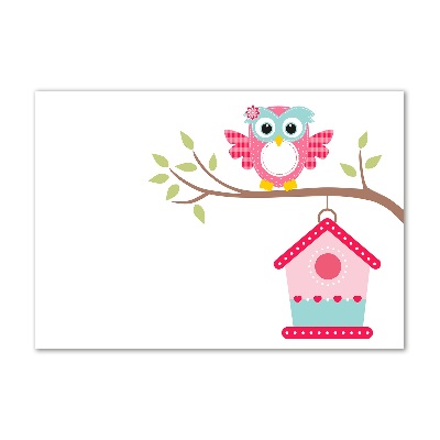 Foto auf Acryl Eule auf einem Ast