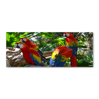 Acrylbild Fotodruck Aras