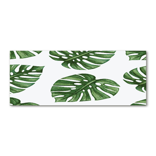 Acrylbild Fotodruck Monstera