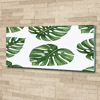 Acrylbild Fotodruck Monstera