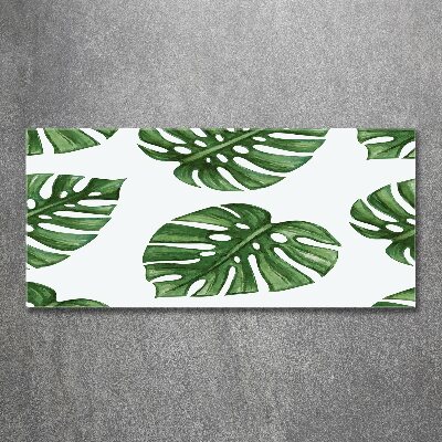 Acrylbild Fotodruck Monstera