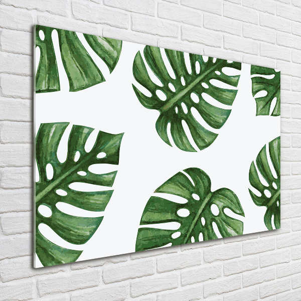 Acrylbild Fotodruck Monstera
