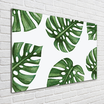 Acrylbild Fotodruck Monstera