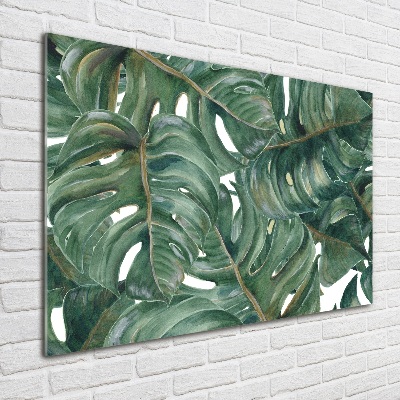Foto auf Acryl Monstera