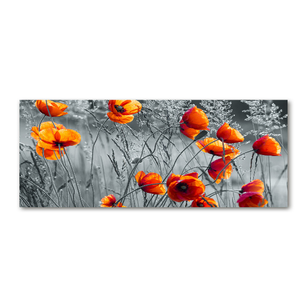 Foto auf Acryl Wildmohn