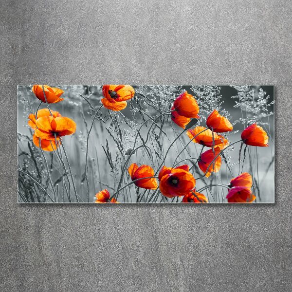 Foto auf Acryl Wildmohn