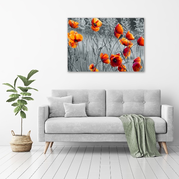Foto auf Acryl Wildmohn
