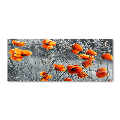 Bild auf Acrylglas Wildmohn