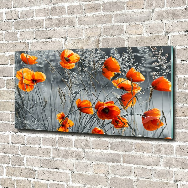Bild auf Acrylglas Wildmohn