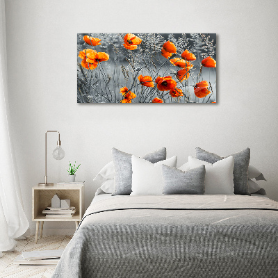 Bild auf Acrylglas Wildmohn