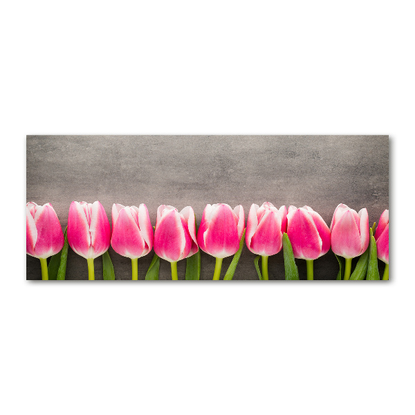 Acrylbild Fotodruck Rosa Tulpen