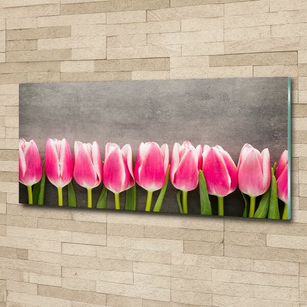 Acrylbild Fotodruck Rosa Tulpen