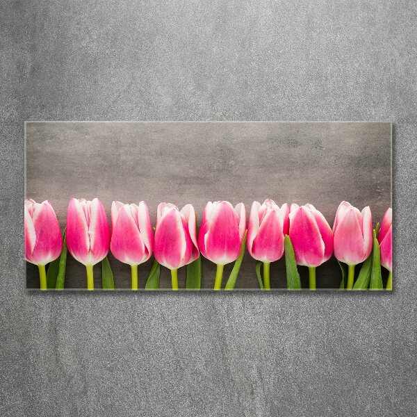 Acrylbild Fotodruck Rosa Tulpen