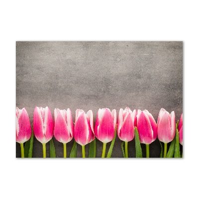 Acrylbild Fotodruck Rosa Tulpen