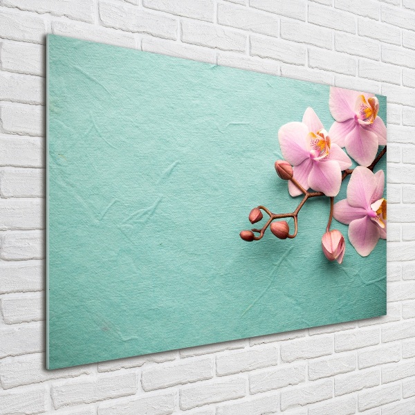 Bild auf Acrylglas Orchidee