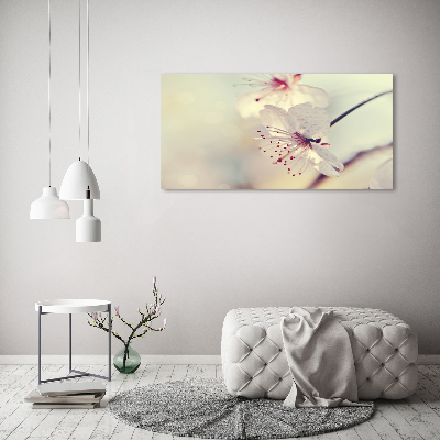 Acrylbild Fotodruck Kirschblüte