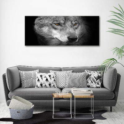 Foto auf Acryl Wolf