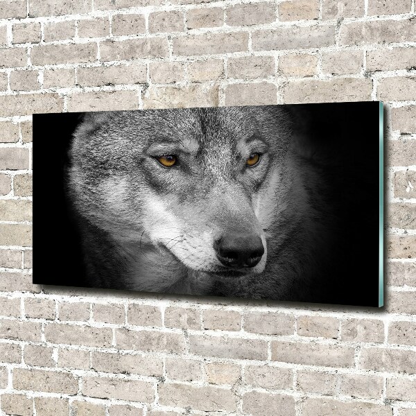 Foto auf Acryl Wolf