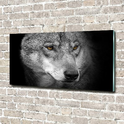 Foto auf Acryl Wolf