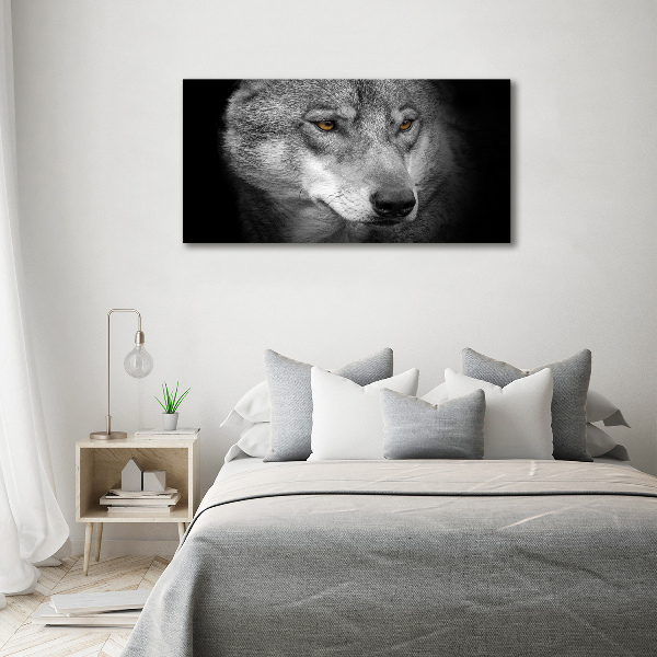 Foto auf Acryl Wolf