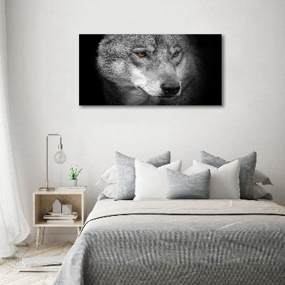 Foto auf Acryl Wolf