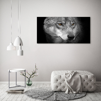 Foto auf Acryl Wolf