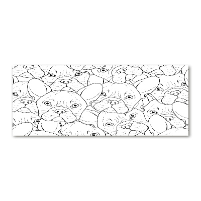 Foto auf Acryl Französische Bulldoggen