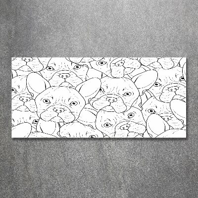 Foto auf Acryl Französische Bulldoggen