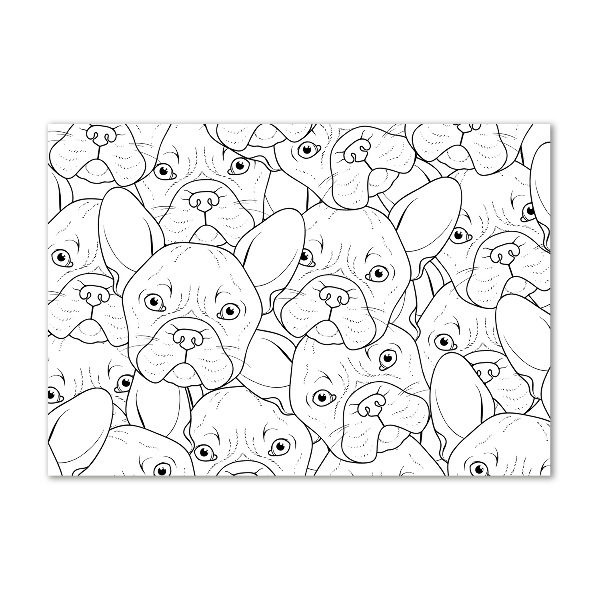 Foto auf Acryl Französische Bulldoggen