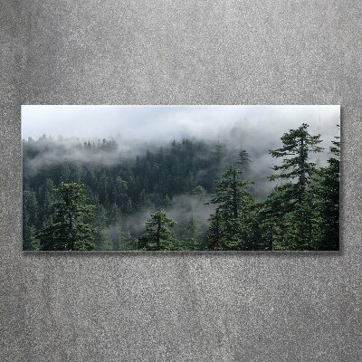 Foto auf Acryl Waldnebel