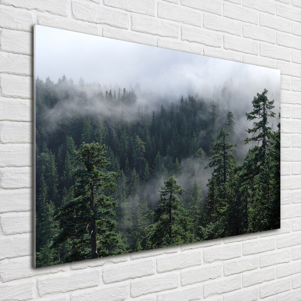 Foto auf Acryl Waldnebel